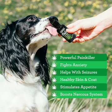Organics - Relax Full Spectrum CBD oil for Pets 1000 mg (30ml)
